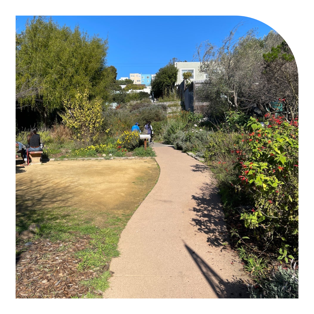 Perfect Day in Visitacion Valley San Francisco